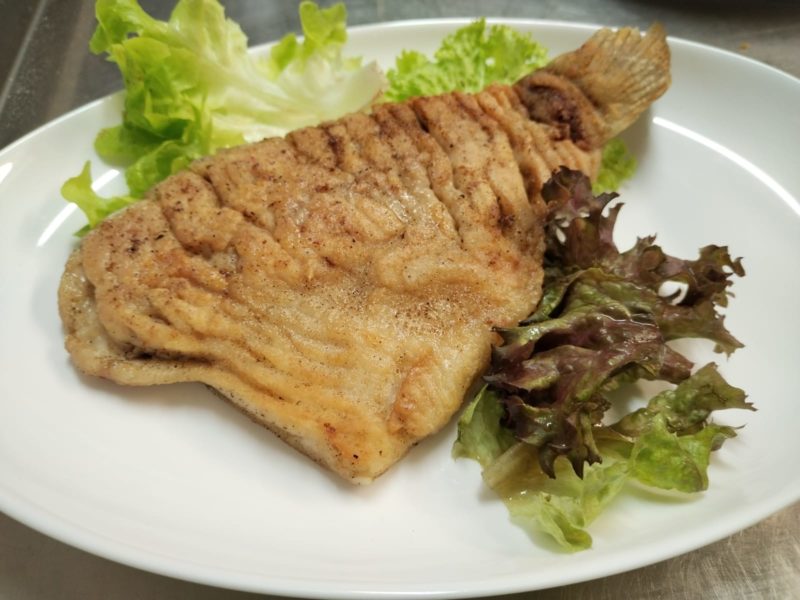 Karpfenfilet